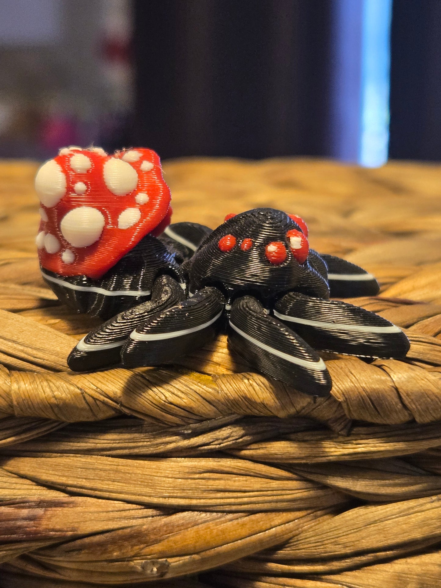 Tiny Mushroom Spider