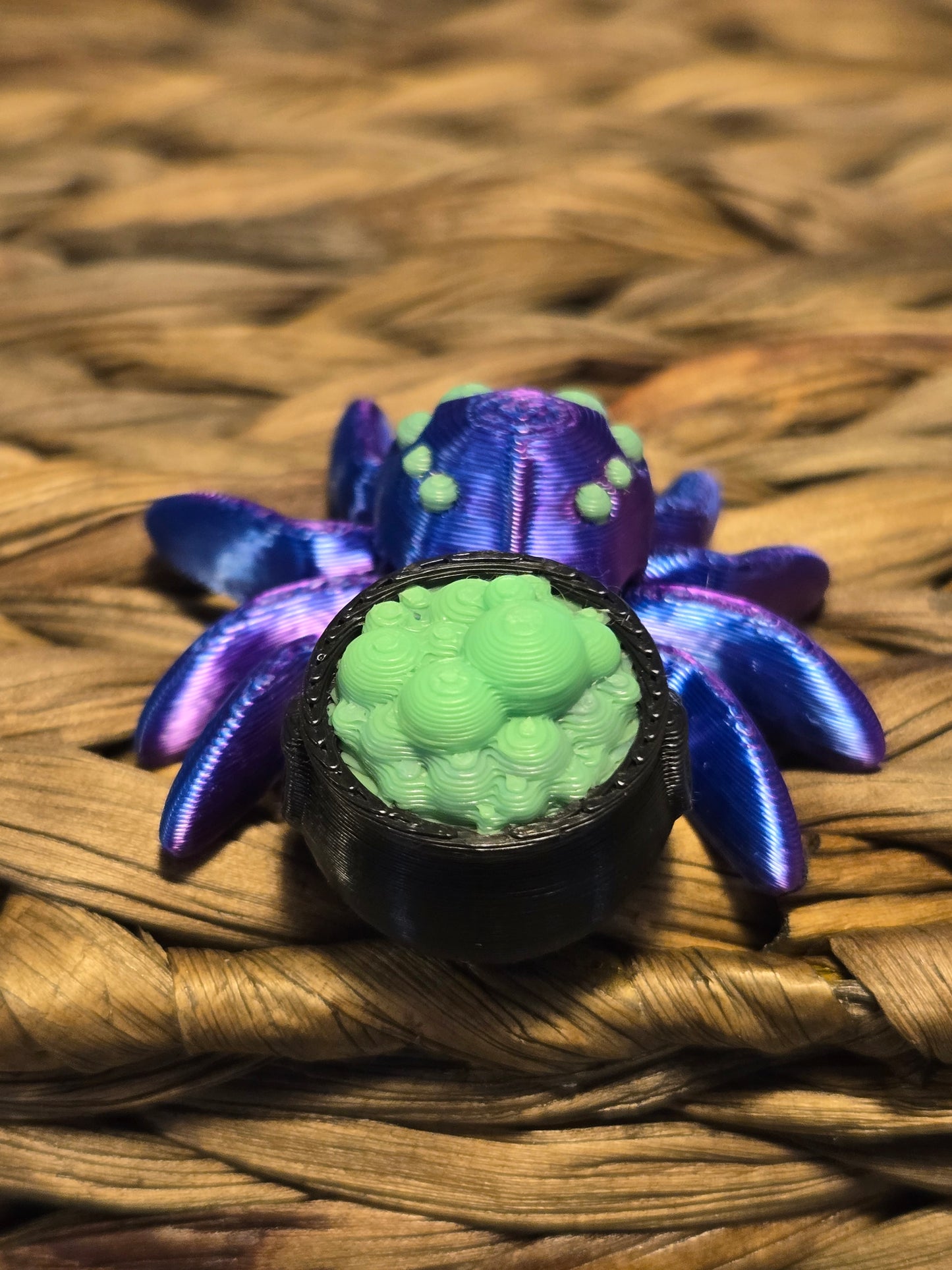 Cauldron Spider