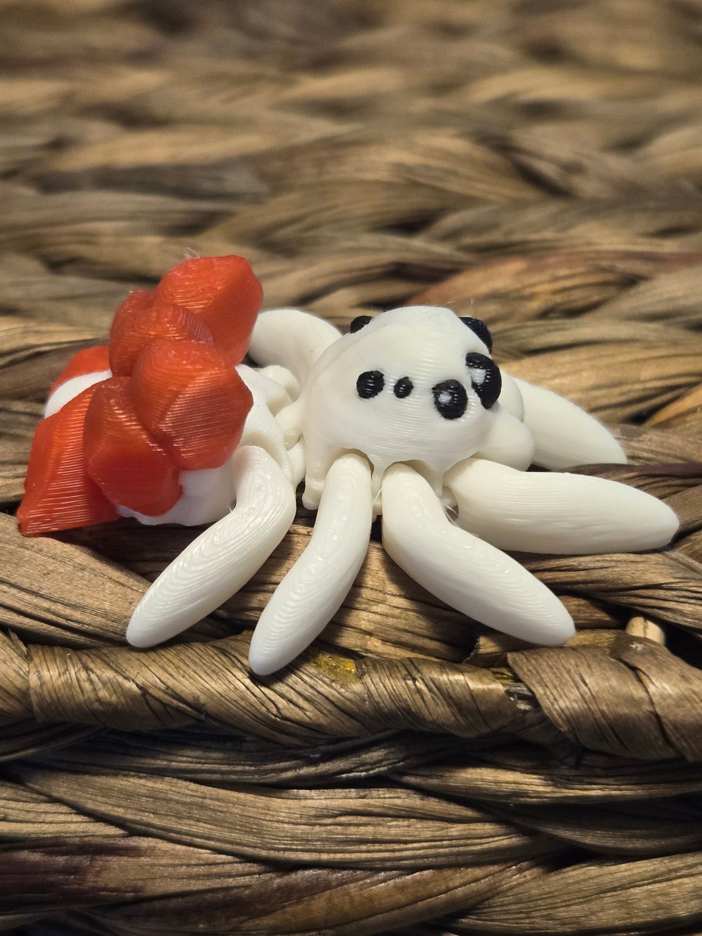 Tiny Bow Spider