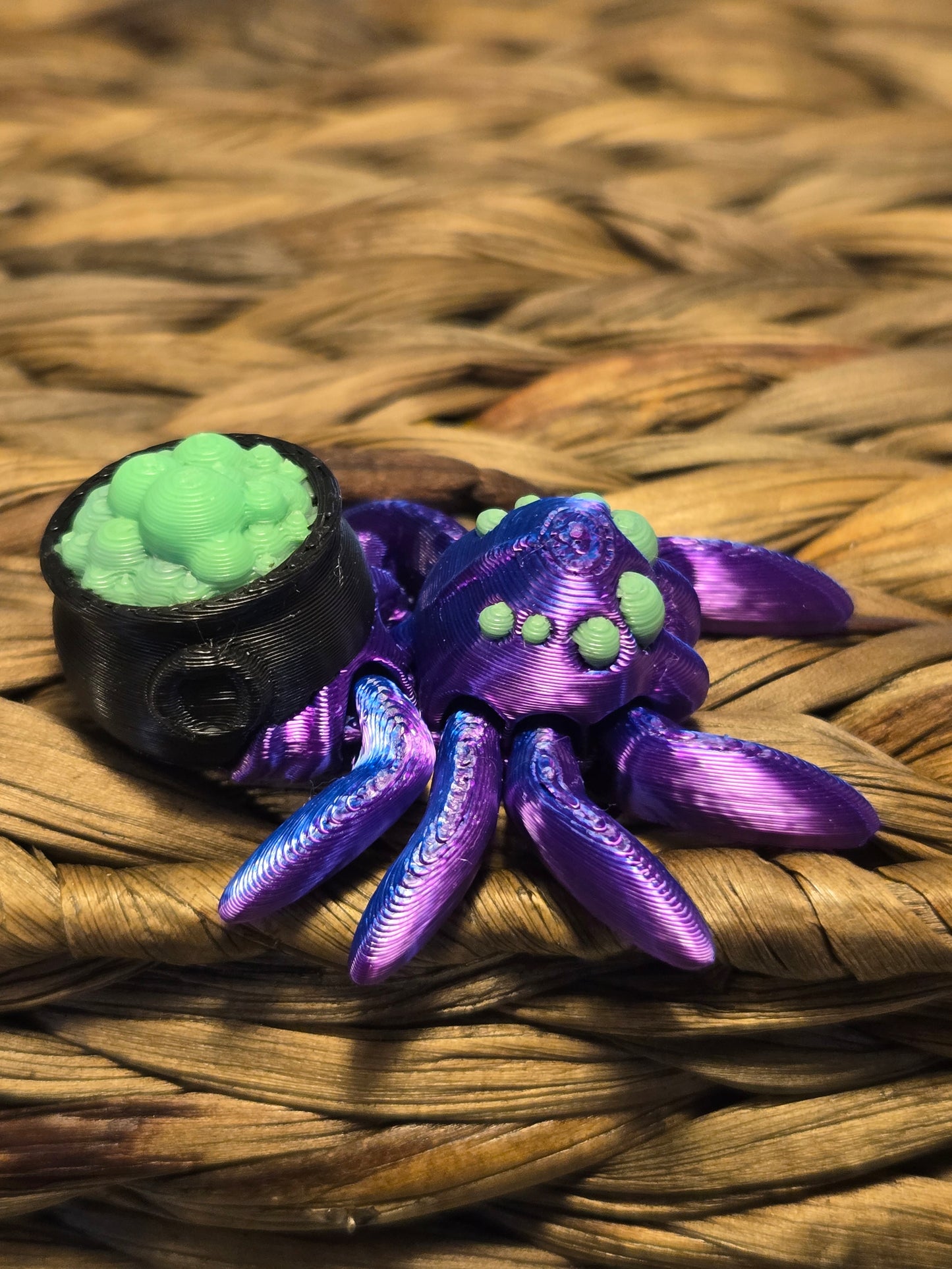 Cauldron Spider