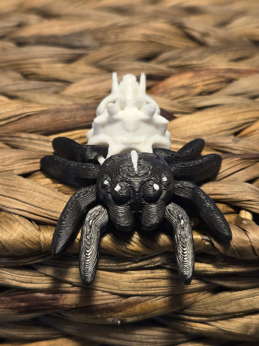 Tiny Hollow Spider