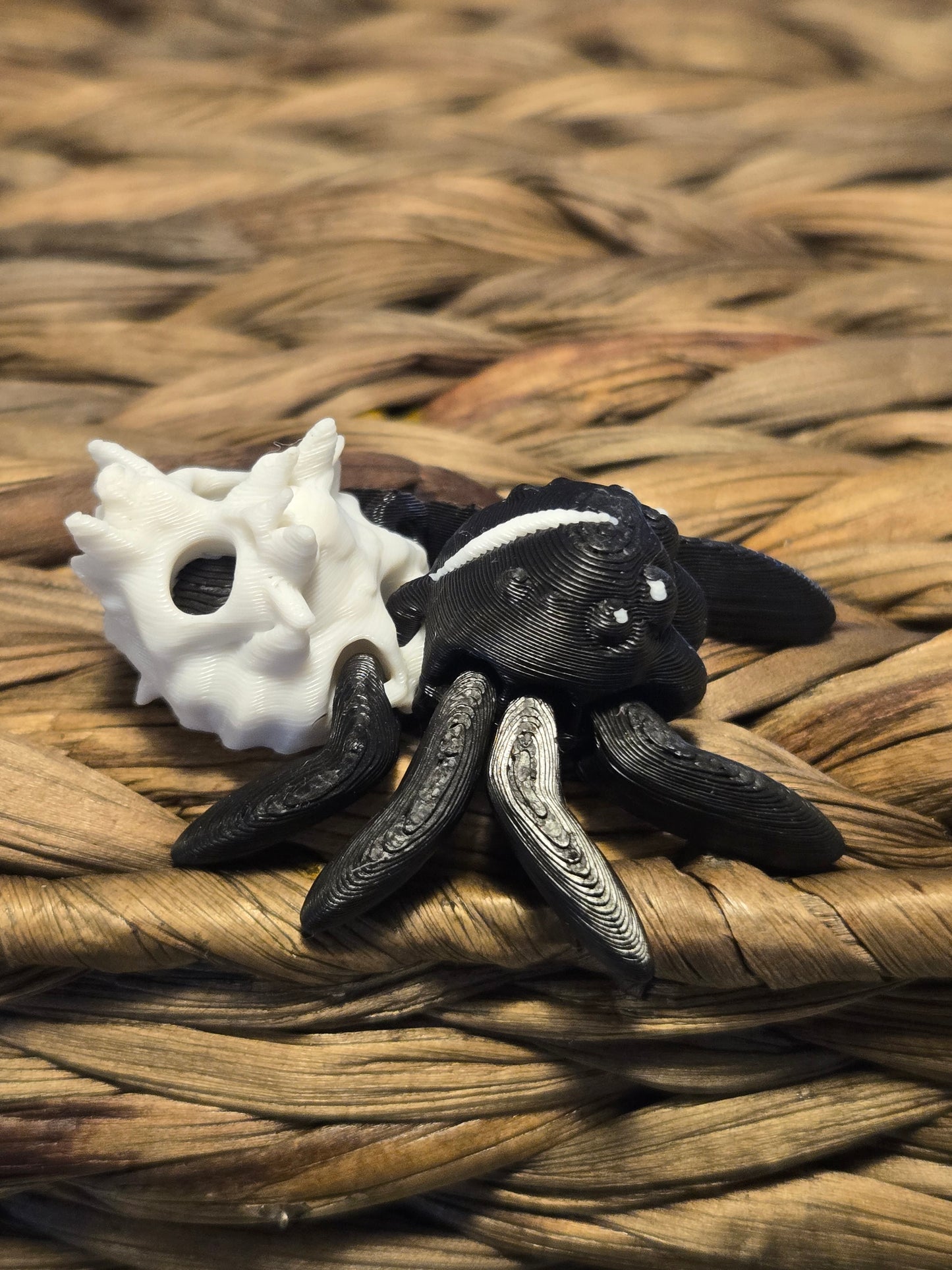 Tiny Hollow Spider