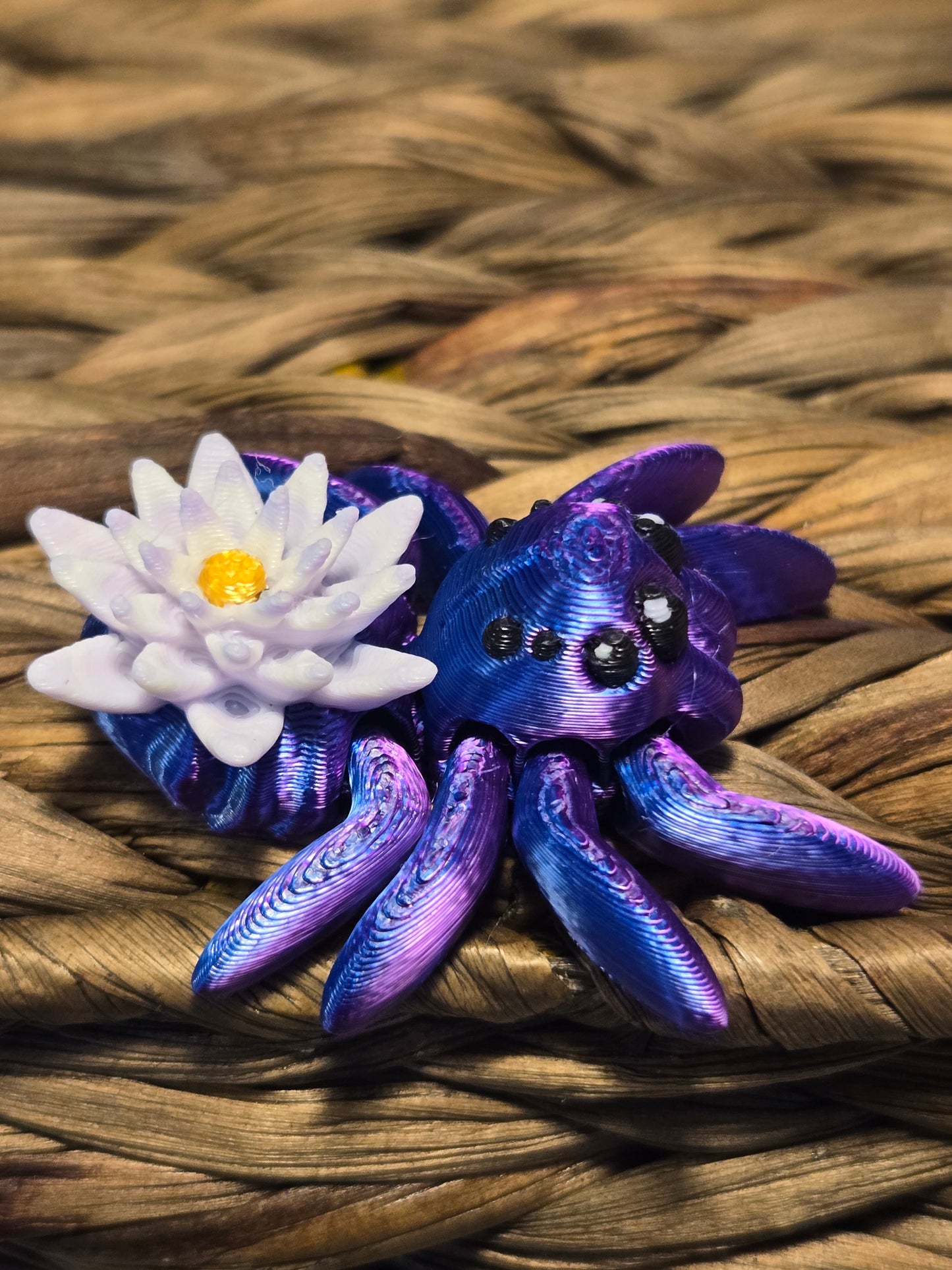 Tiny Water Lily Spider