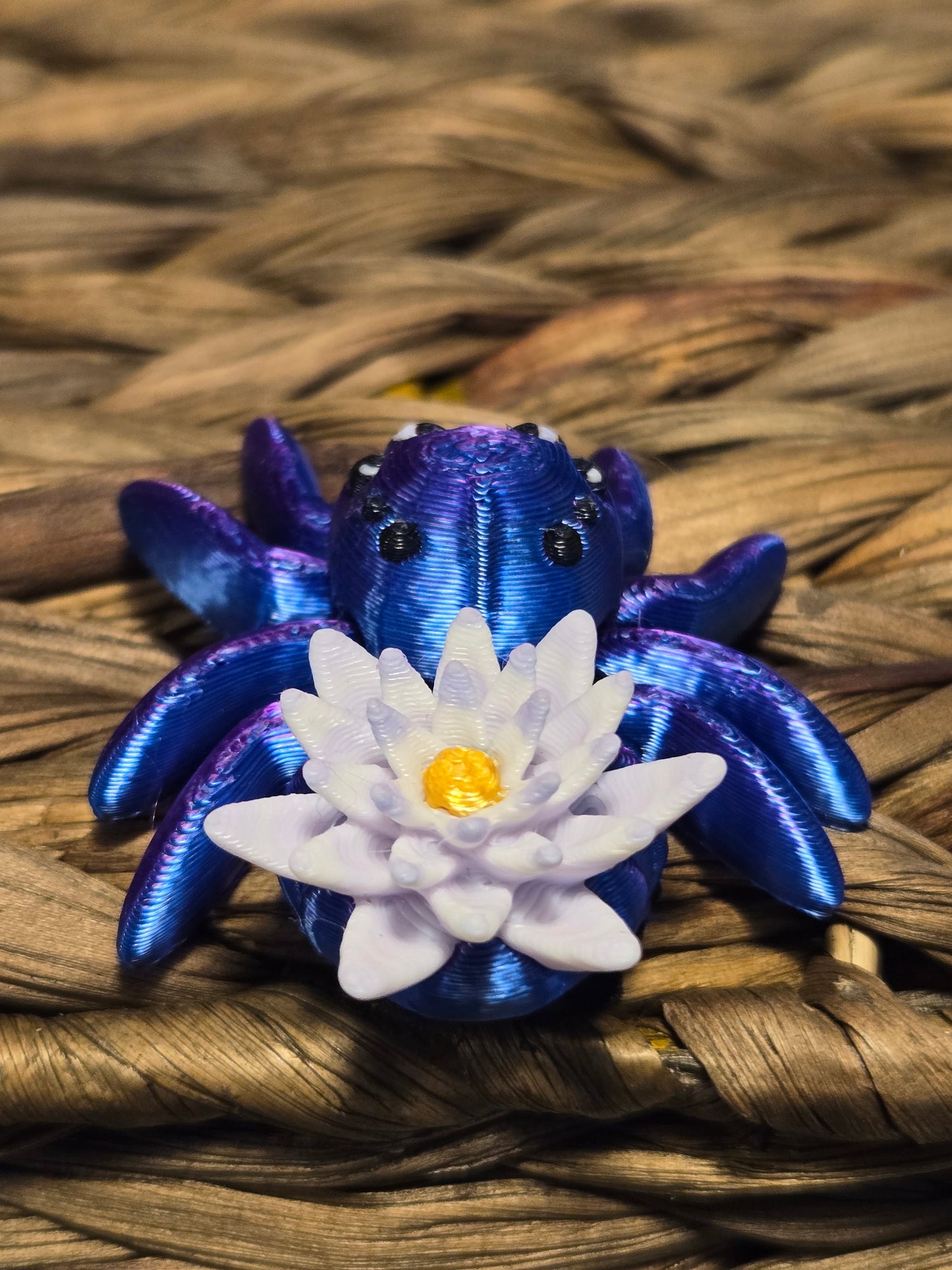 Tiny Water Lily Spider