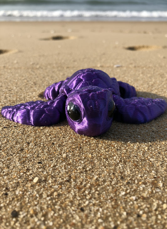 Sea Turtle Hatchling