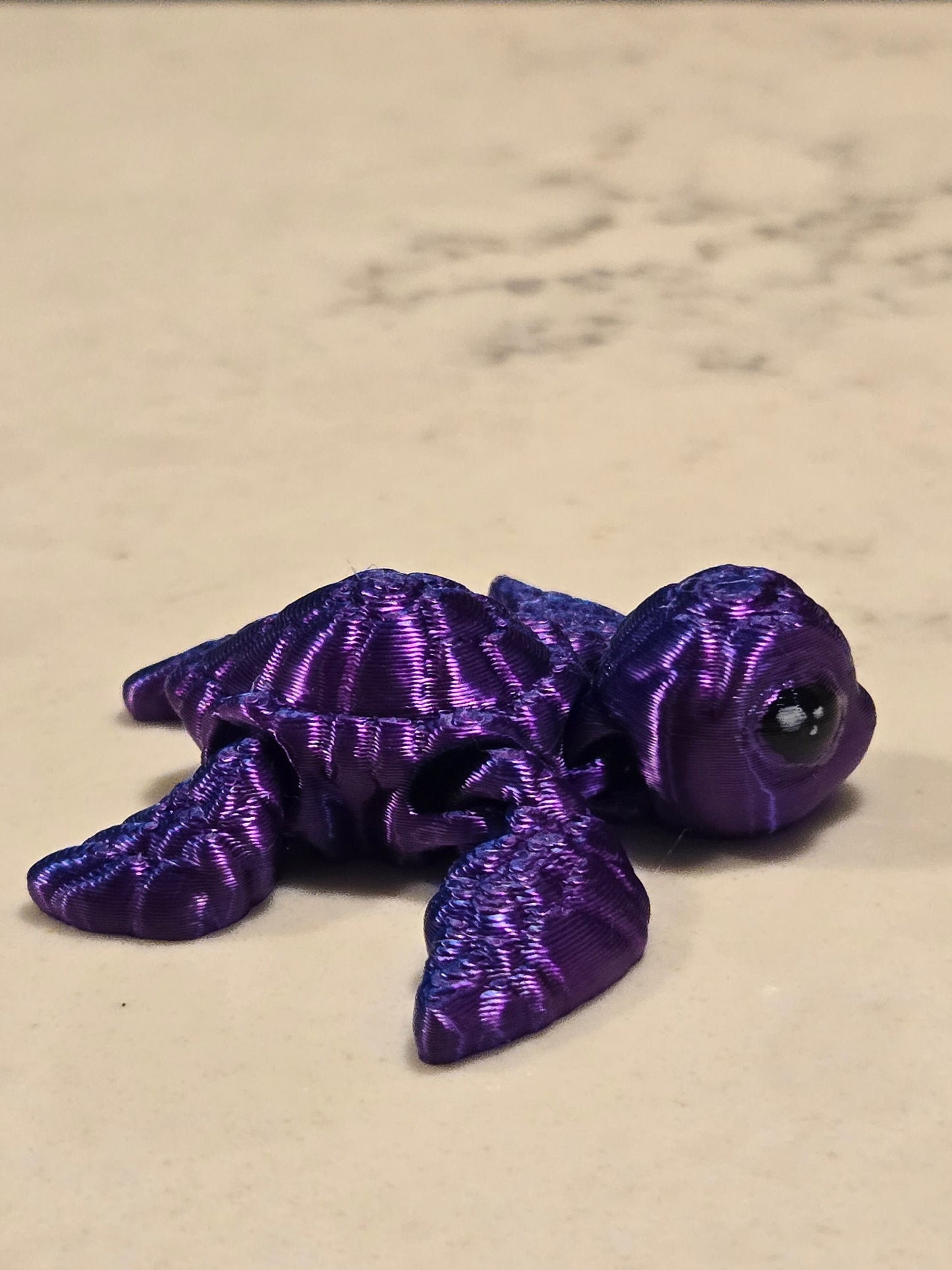 Sea Turtle Hatchling