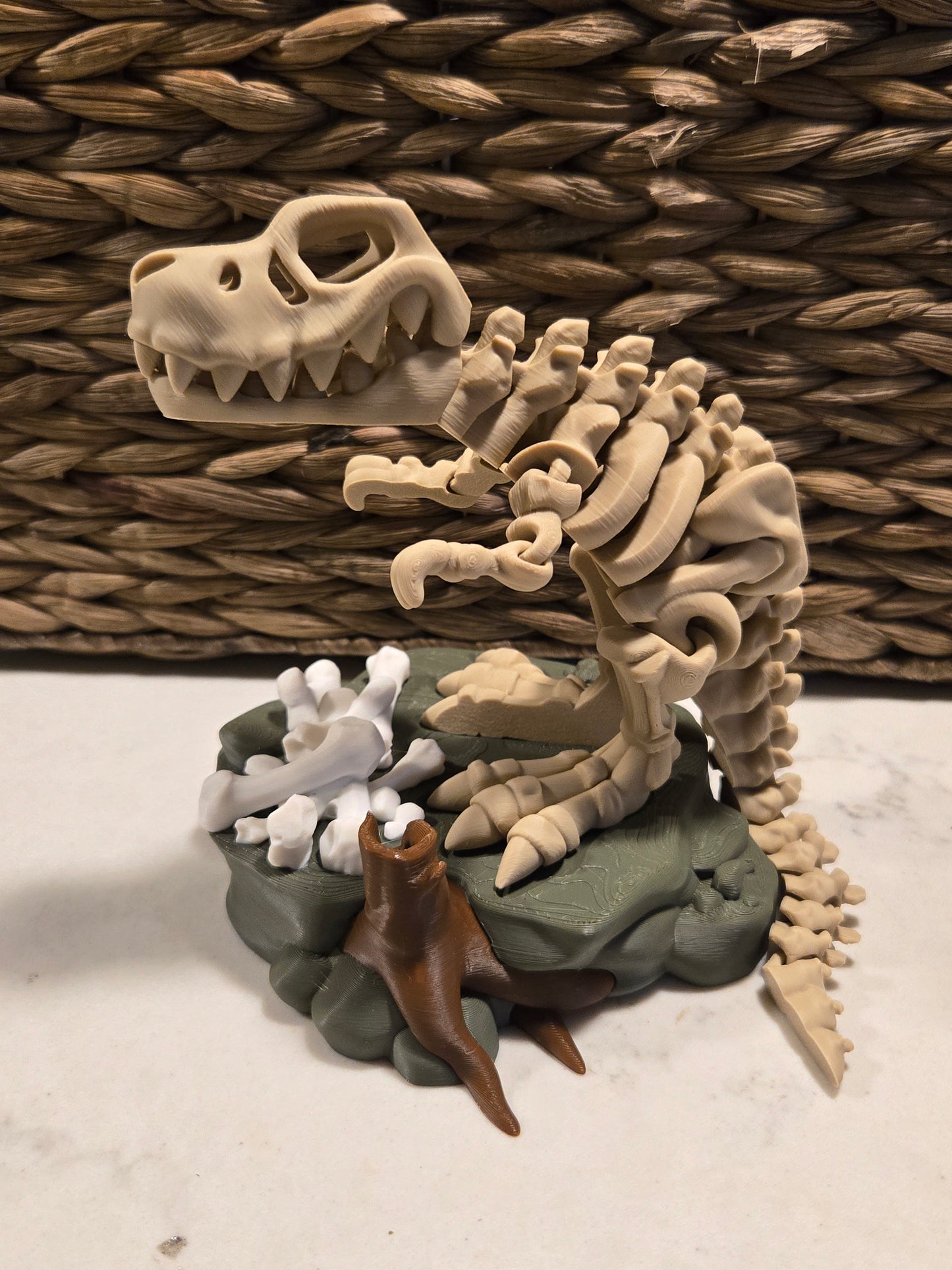Skeleton T-rex with stand
