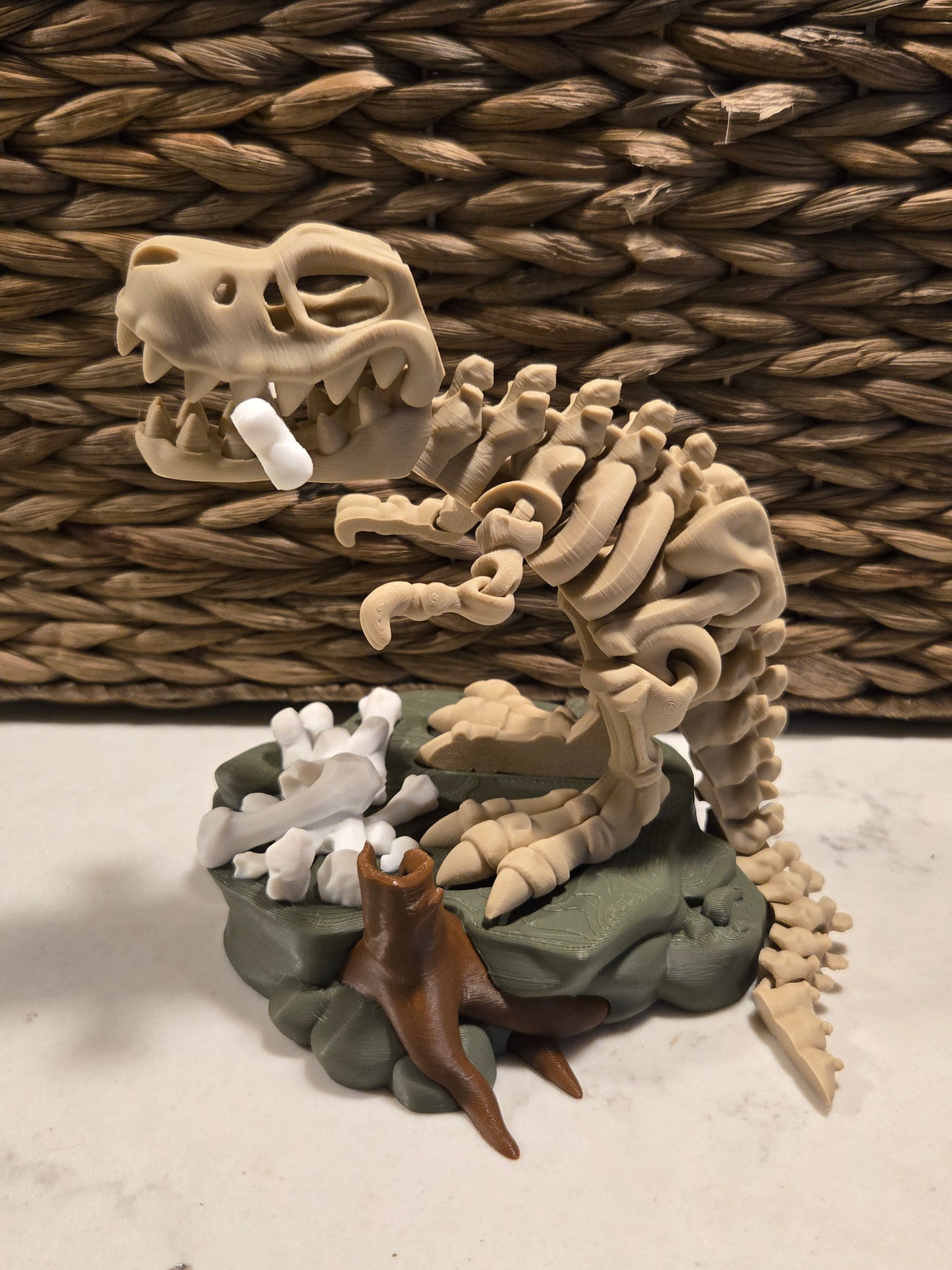 Skeleton T-rex with stand