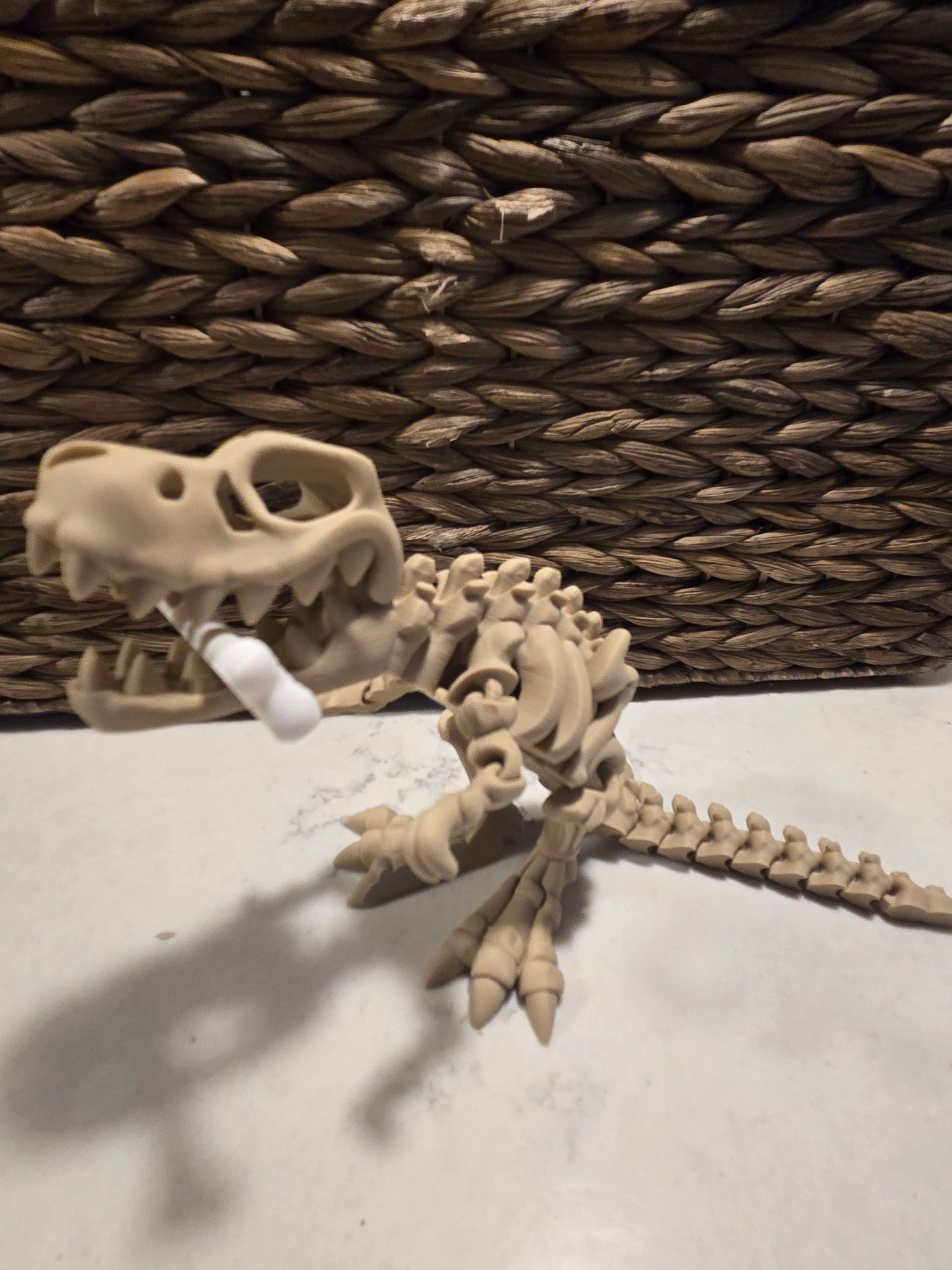Skeleton T-rex with stand
