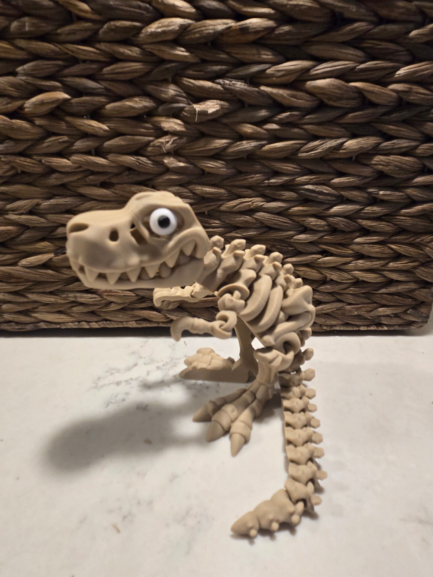 Skeleton T-rex with stand