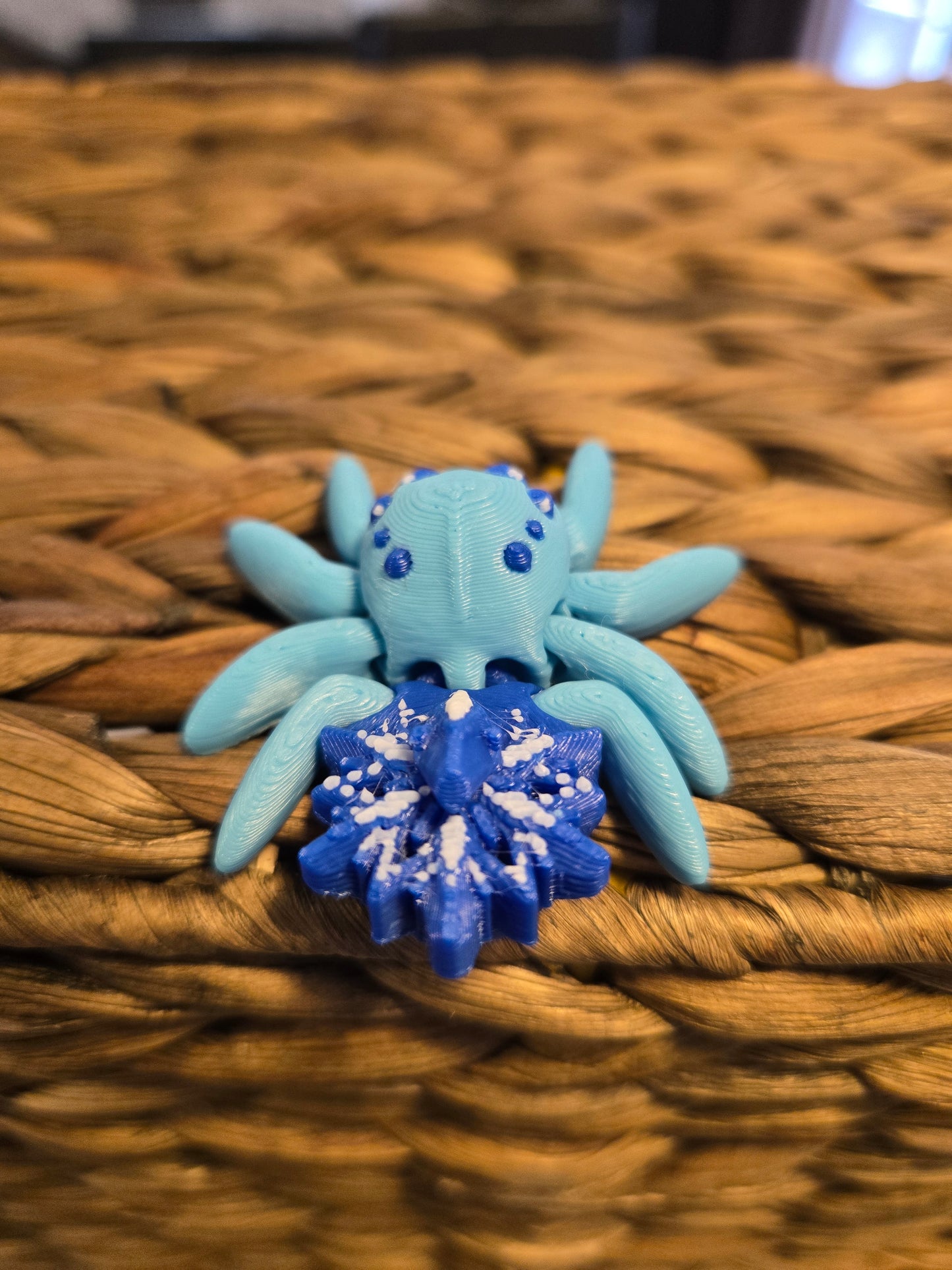 Tiny Snowflake Spider